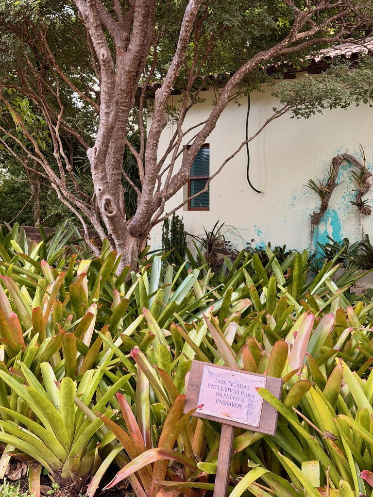 O que fazer de graça em BH: parques, praças e cultura sem gastar