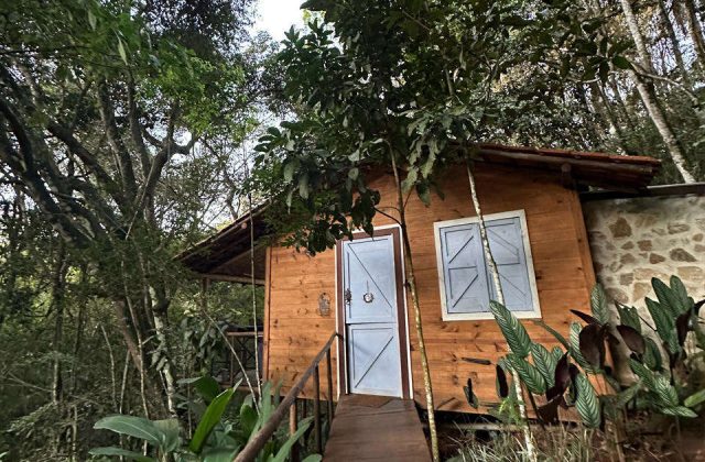 Vila da Lavanda: hospedagem e brunch entre campos de lavanda perto de BH
